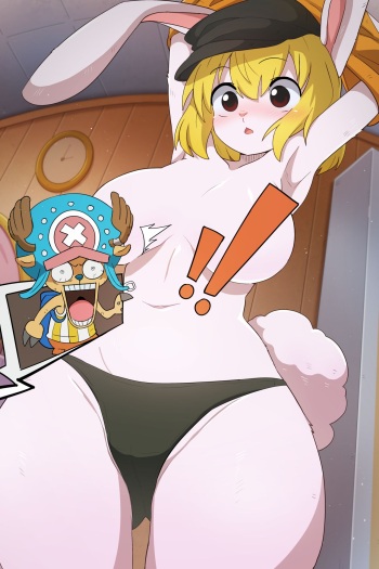 One Piece Hentai Carrot