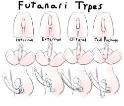 Futanari Anatomy