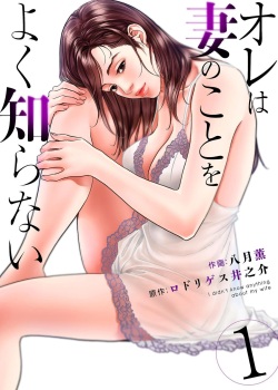 Ore wa Tsuma no Koto o Yoku Shiranai 1-12