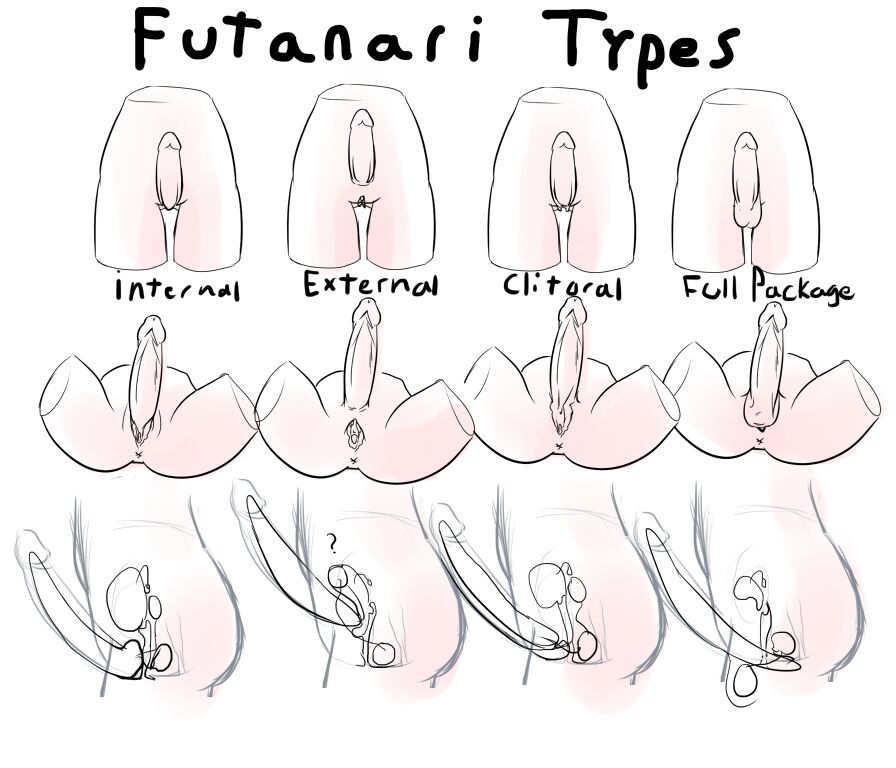 Different Porn Types