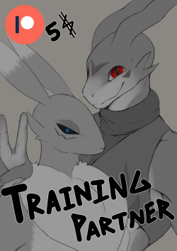 Training Partner