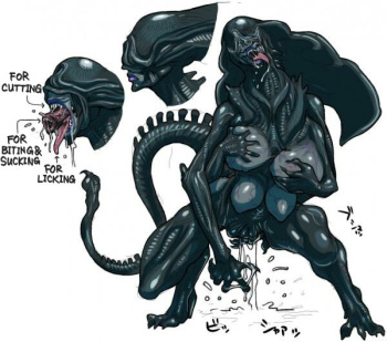 Alien Vs Predator Xenomorph Porn - Aliens and Predators - HentaiEra